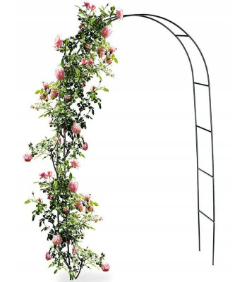 Arka - atbalsts puķēm un kāpšanas augiem 190x40cm 8903