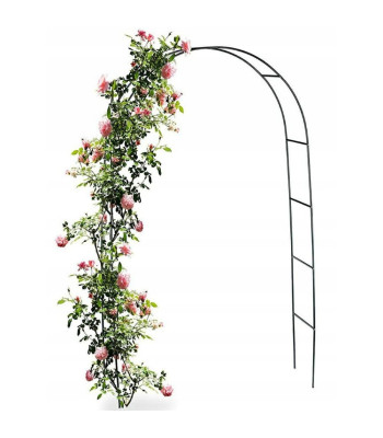 Arka - atbalsts puķēm un kāpšanas augiem 240x140cm 8902
