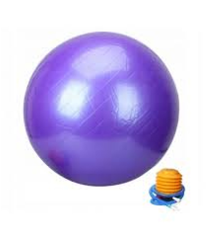 Violeta vingrošanas bumba ar pumpi 65 cm