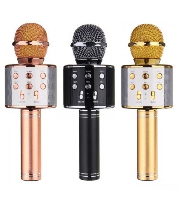 Karaoke mikrofons ar ierakstīšanas funkciju WS-858