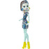 Monster High® lelle Frenkija Steina DMD46