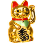 Ķīniešu kaķis ir zeltains