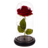 Kvēlojoša roze zem stikla pārsega