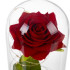 Kvēlojoša roze zem stikla pārsega