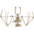 Sikspārņa skelets - Helovīna dekorācija 30cm