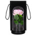 Mūžīgā roze stiklā Springos  HA5157