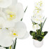 Mākslīgie dekoratīvie ziedi Springos HA7425