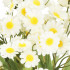 Mākslīgie dekoratīvie ziedi Springos HA7414