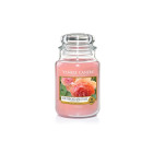 Yankee Candle Aromātiska liela svece &quot;Saules pielieta aprikožu roze&quot; 623 g