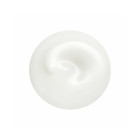 Shiseido Revita lizer ādas fluīds (Total Revita lizer Light Fluid) 70 ml